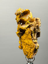 Load image into Gallery viewer, High-Grade Orange Wulfenite Collector Display Specimen | La Morita Mine, Chihuahua, Mexico
