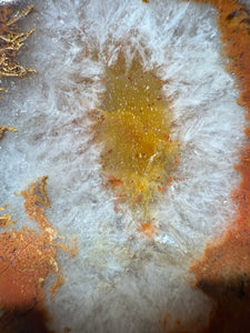 Rare Moroccan Orange Plume Carnelian Agate Collected by Indigenous Nomads | Ancient Beauty from the Sahara