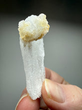 Load image into Gallery viewer, RARE COMBO Moroccan Ram’s Horn Selenite (Gypsum) with Yellow Botryoidal Fluorite Display Specimen
