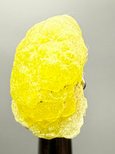 Load image into Gallery viewer, Vibrant Yellow Brucite Thumbnail Mineral Specimen | Collector Crystal from Killa Saifullah District in Balochistan Province, Pakistan
