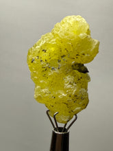 Load image into Gallery viewer, Vibrant Yellow Brucite Thumbnail Mineral Specimen | Collector Crystal from Killa Saifullah District in Balochistan Province, Pakistan
