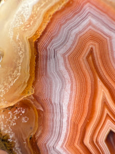 High-Grade Parallax Banded Laguna Agate – Bright Orange, Red, & White Banding from Mexico