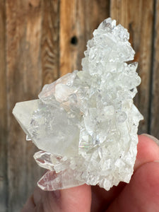 Clear Gem Apophyllite + Pink Stilbite Cluster • Maharashtra, India