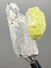 Load image into Gallery viewer, Vibrant Yellow Brucite Thumbnail Mineral Specimen | Collector Crystal from Killa Saifullah District in Balochistan Province, Pakistan
