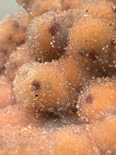 Load image into Gallery viewer, “Goblin Chalcedony” Pink &amp; Orange Druzy Botryoidal Stalactites — Tichka Massif, High Atlas, Morocco
