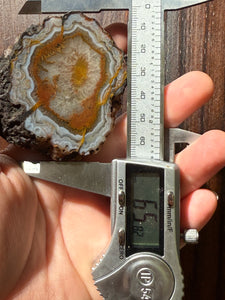 Rare Moroccan Orange Plume Carnelian Agate Collected by Indigenous Nomads | Ancient Beauty from the Sahara