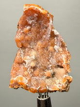 Load image into Gallery viewer, Sunset Goblin Chalcedony Botryoidal Stalactite | Sidi Rahal, Morocco (Western Sahara) Mineral Display Specimen
