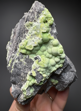 Load image into Gallery viewer, High-Grade Green Wavellite Collectors Specimen - Radiating Botryoidal Crystal Formation - Arkansas, USA
