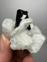 Load image into Gallery viewer, Dark Green Cap Stak Nala Tourmaline on Cleavelandite Matrix – Haramosh Mountains, Pakistan
