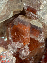 Load image into Gallery viewer, Rare Red Apophyllite Crystal Cluster – High Grade Collector Mineral Specimen | India

