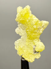 Load image into Gallery viewer, Vibrant Yellow Brucite Thumbnail Mineral Specimen | Collector Crystal from Killa Saifullah District in Balochistan Province, Pakistan
