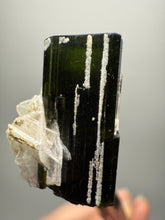 Load image into Gallery viewer, Dark Green Stak Nala Tourmaline and Cleavelandite – Haramosh Mountains, Pakistan | Thumbnail Specimen
