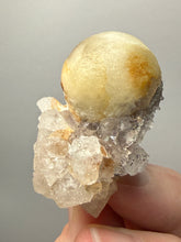 Load image into Gallery viewer, Rare Botryoidal Yellow Fluorite on Quartz Matrix  Collector Mineral Specimen – Maharashtra, India
