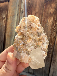 Yellow Diamond Calcite + Pearl Heulandite • Maharashtra, India