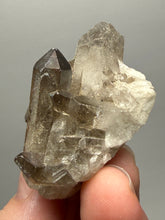 Load image into Gallery viewer, Smoky Quartz Crystal Specimen | Natural Collector Mineral – Brazil
