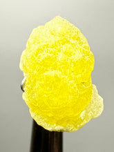 Load image into Gallery viewer, Vibrant Yellow Brucite Thumbnail Mineral Specimen | Collector Crystal from Killa Saifullah District in Balochistan Province, Pakistan
