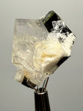 Load image into Gallery viewer, Dark Green Cap Stak Nala Tourmaline and Cleavelandite on Quartz – Haramosh Mountains, Pakistan | Thumbnail Specimen
