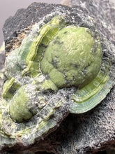 Load image into Gallery viewer, High-Grade Green Wavellite Collectors Specimen - Radiating Botryoidal Crystal Formation - Arkansas, USA
