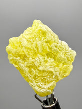 Load image into Gallery viewer, Vibrant Yellow Brucite Thumbnail Mineral Specimen | Collector Crystal from Killa Saifullah District in Balochistan Province, Pakistan
