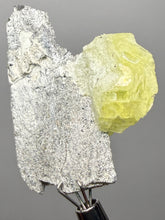 Load image into Gallery viewer, Vibrant Yellow Brucite Thumbnail Mineral Specimen | Collector Crystal from Killa Saifullah District in Balochistan Province, Pakistan
