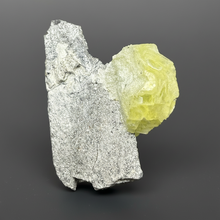 Load image into Gallery viewer, Vibrant Yellow Brucite Thumbnail Mineral Specimen | Collector Crystal from Killa Saifullah District in Balochistan Province, Pakistan
