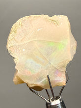 Load image into Gallery viewer, Precious Opal with Color Play | Welo, Ethiopia
