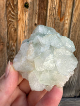 Load image into Gallery viewer, Mint Green Apophyllite Flower Stalactite • Maharashtra, India
