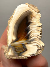 Load image into Gallery viewer, Premium Sumatra Agate (Banded Chalcedony) Display Specimen | Indonesia
