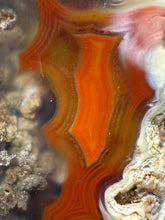 Load image into Gallery viewer, Polished Malawi Agate Half – High-Grade African Banded Agate Display Specimen
