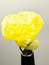 Load image into Gallery viewer, Vibrant Yellow Brucite Thumbnail Mineral Specimen | Collector Crystal from Killa Saifullah District in Balochistan Province, Pakistan
