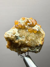 Load image into Gallery viewer, Hessonite Garnet Cluster on Matrix – Natural Collector Specimen from Pakistan | High-Grade Orange-Red Garnet Crystals
