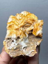 Load image into Gallery viewer, Natural Vanadinite on Matrix | Collector Mineral Specimen | Morocco
