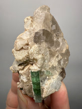 Load image into Gallery viewer, Bicolor Blue Green Tourmaline on Clear Quartz Crystal | Pegmatite Mineral Specimen from Pakistan
