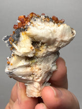Load image into Gallery viewer, Natural Vanadinite on Matrix | Collector Mineral Specimen | Morocco
