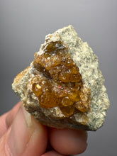 Load image into Gallery viewer, Hessonite Garnet Cluster on Matrix – Natural Collector Specimen from Pakistan | High-Grade Orange-Red Garnet Crystals
