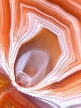 Load image into Gallery viewer, High-Grade Parallax Banded Laguna Agate – Bright Orange, Red, &amp; White Banding from Mexico
