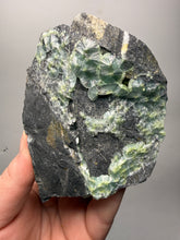 Load image into Gallery viewer, High-Grade Green Wavellite Collectors Specimen - Radiating Botryoidal Crystal Formation - Arkansas, USA
