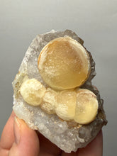 Load image into Gallery viewer, Rare Botryoidal Yellow Fluorite on Quartz Matrix  Collector Mineral Specimen – Maharashtra, India
