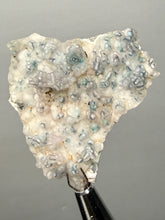 Load image into Gallery viewer, Blue-Green Chrysocolla in Botryoidal Chalcedony Cabinet Specimen | Indonesia
