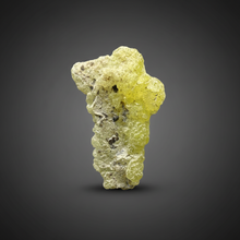 Load image into Gallery viewer, Bivalve (Pelecypoda) Fossil Sea Shell with Chalcopyrite | Mineralized Fossil Specimen | Indonesia
