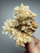 Load image into Gallery viewer, High-Grade Coral Aragonite Crystal Specimen – Wenshan Mine, Yunnan, China
