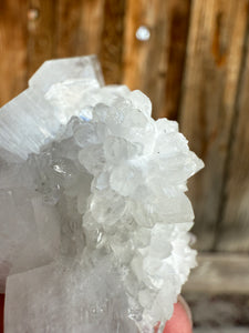 Clear Gem Apophyllite + Apophyllite Flower Stalactites • Maharashtra, India
