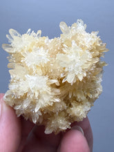 Load image into Gallery viewer, 2” High-Grade Flower Calcite Specimen | Wenshan Mine, Yunnan, China | Collector Mineral Display
