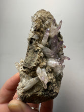 Load image into Gallery viewer, High-Grade Vera Cruz Amethyst — Ultra-Clear Terminated Crystal Collector Specimen | Veracruz, Mexico

