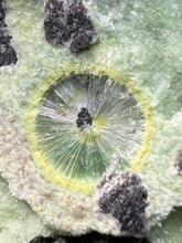 Load image into Gallery viewer, High-Grade Green Wavellite Collectors Specimen - Radiating Botryoidal Crystal Formation - Arkansas, USA
