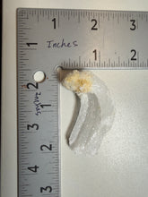 Load image into Gallery viewer, RARE COMBO Moroccan Ram’s Horn Selenite (Gypsum) with Yellow Botryoidal Fluorite Display Specimen

