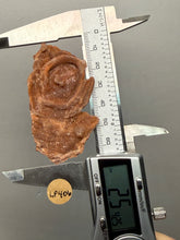 Load image into Gallery viewer, Chalcedony Quartz Rose Agate Collector Mineral Specimen – Morocco
