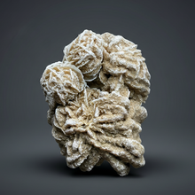 Load image into Gallery viewer, Desert Rose Selenite (Gypsum) — Mineral Display Specimen | Mexico
