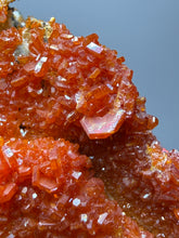 Load image into Gallery viewer, Natural Vanadinite on Matrix | Collector Mineral Specimen | Morocco
