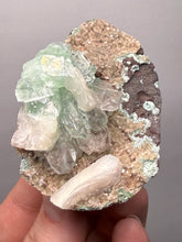 Load image into Gallery viewer, Light Mint Green Apophyllite &amp; Stilbite on Pink &amp; Green Heulandite — Deccan Traps, India
